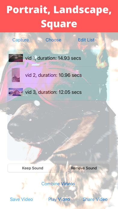 Stitch Videos 스크린샷
