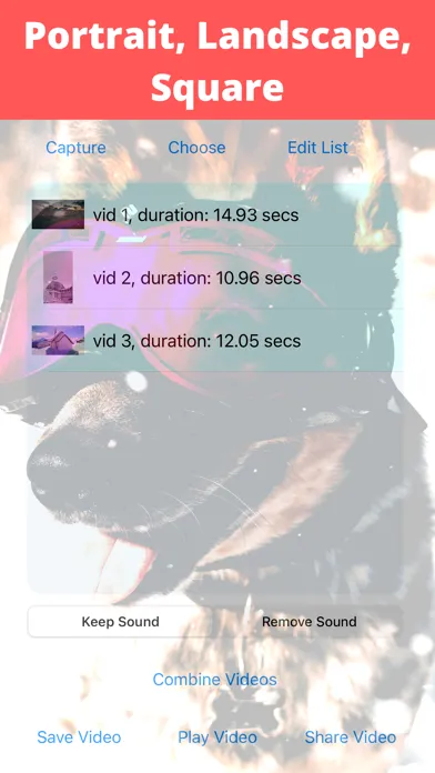 Stitch Videos应用截图