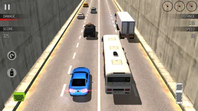 Tangkapan skrin Pro Highway Racers