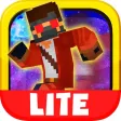 Guardian Skins 3D Block Running Lite Games