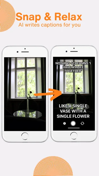 MemeCam - Memes by AI应用截图