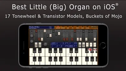 Galileo Organ 2 स्क्रीनशॉट