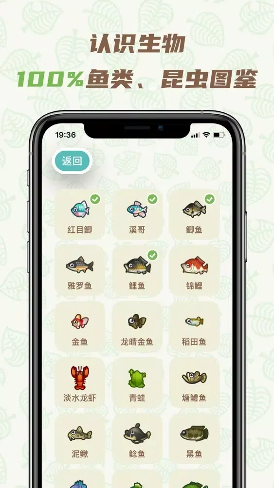 Скриншоты Nook百科