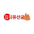김치유산균