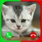 Cat Fake Call Prank For Kids