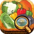 Kids Find & See My Vegetable