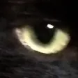 RET Viewer RET Viewer