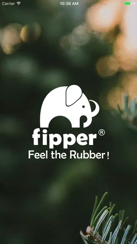 Capturas de tela do fipper slipper