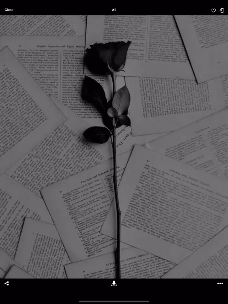 Black Aesthetic Wallpapers HD iPad  Ekran Görüntüleri