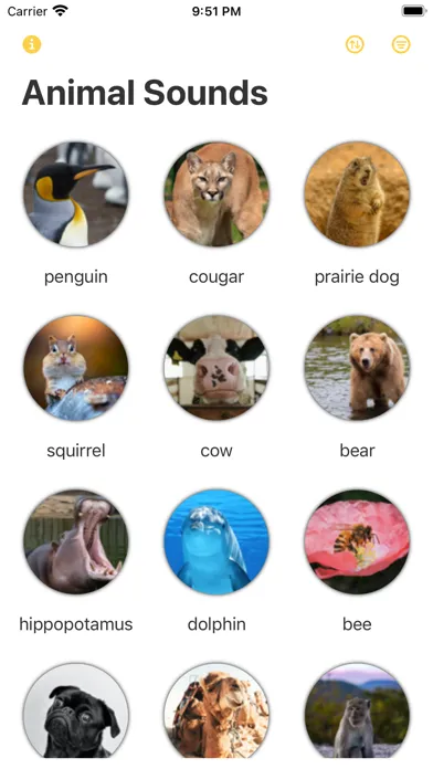 Tangkapan layar Discovery: Animal Sounds!