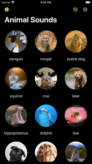 Tangkapan layar Discovery: Animal Sounds!