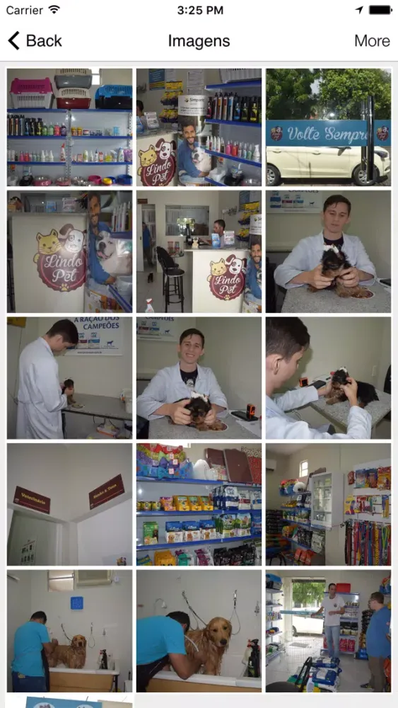Lindo Pet Screenshots