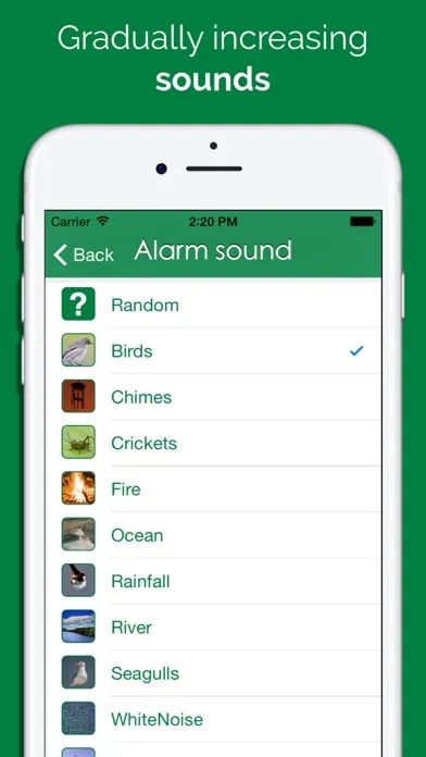 Ảnh chụp màn hình của Light Alarm