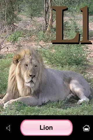 Screenshot di ABC Animal Flash Cards