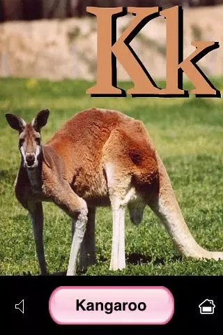 Screenshot di ABC Animal Flash Cards
