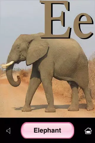 Screenshot di ABC Animal Flash Cards