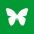 Collins British Wildlife