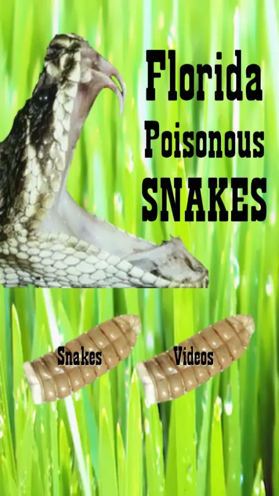 Florida Poisonous Snakes স্ক্রিনশট