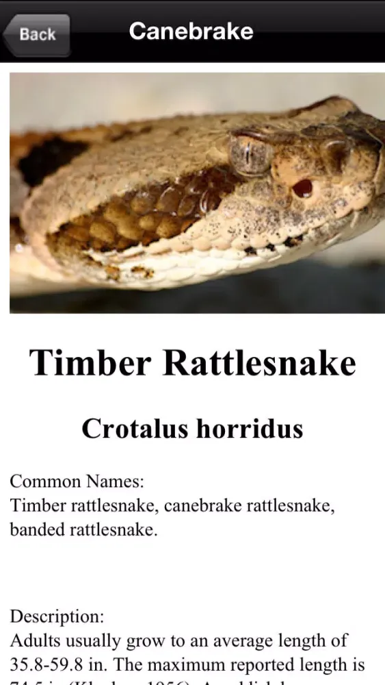 Florida Poisonous Snakes স্ক্রিনশট