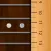 Set Fret