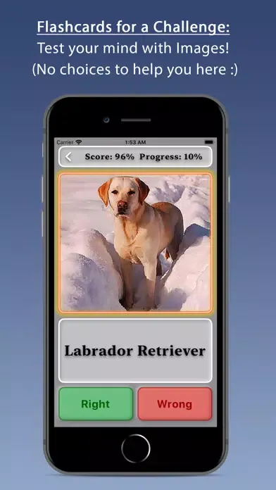 Dogs スクリーンショット