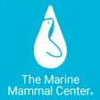 The Marine Mammal Center Tour