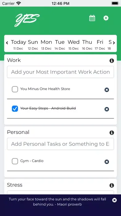 Capturas de tela do Your Easy Steps [YES]