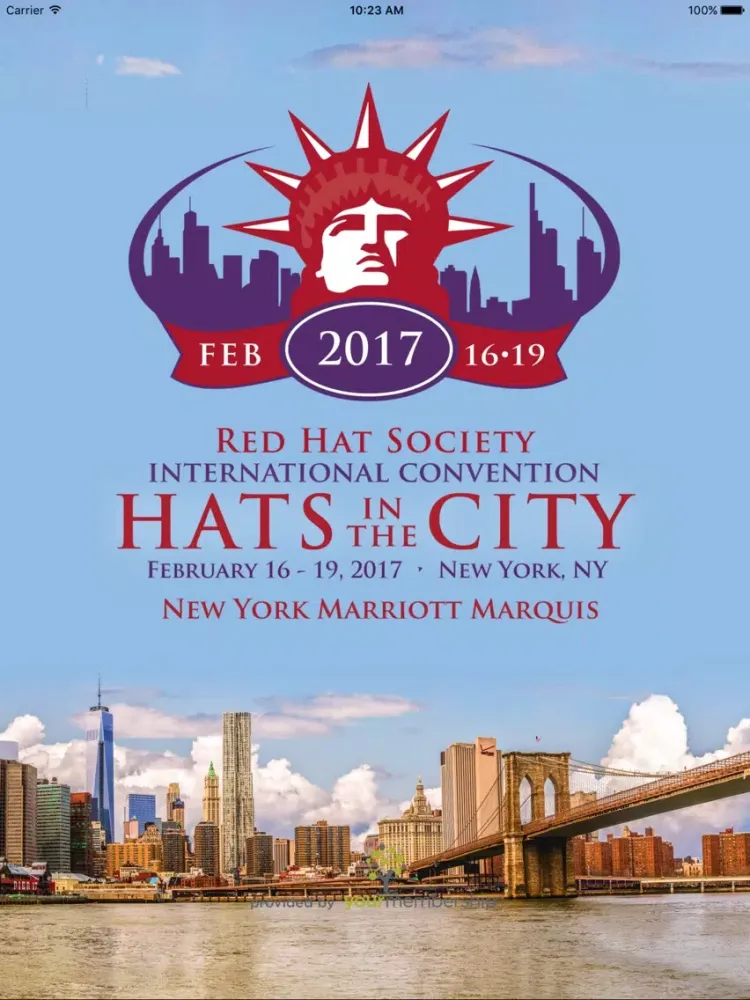 صور Hats in the City iPad 