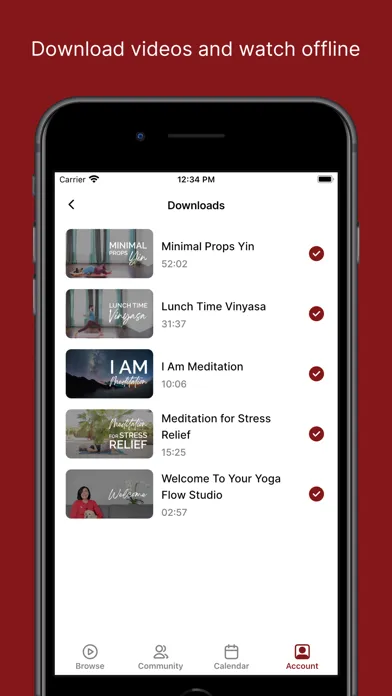 Your Yoga Flow Studio 스크린샷