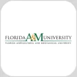 FAMU Experience