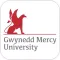Gwynedd Mercy Experience