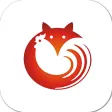 yoyolive