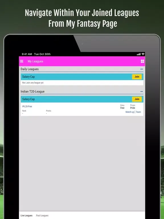 YPO Fantasy League iPad  スクリーンショット
