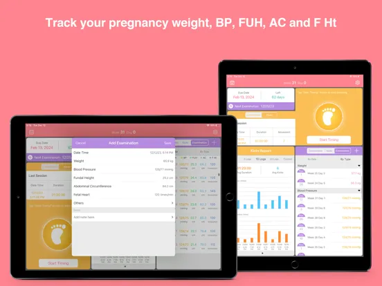 Pregnancy Tools iPad  스크린샷