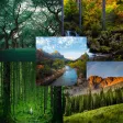 Local HD Wallpaper