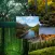 Local HD Wallpaper