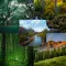Local HD Wallpaper