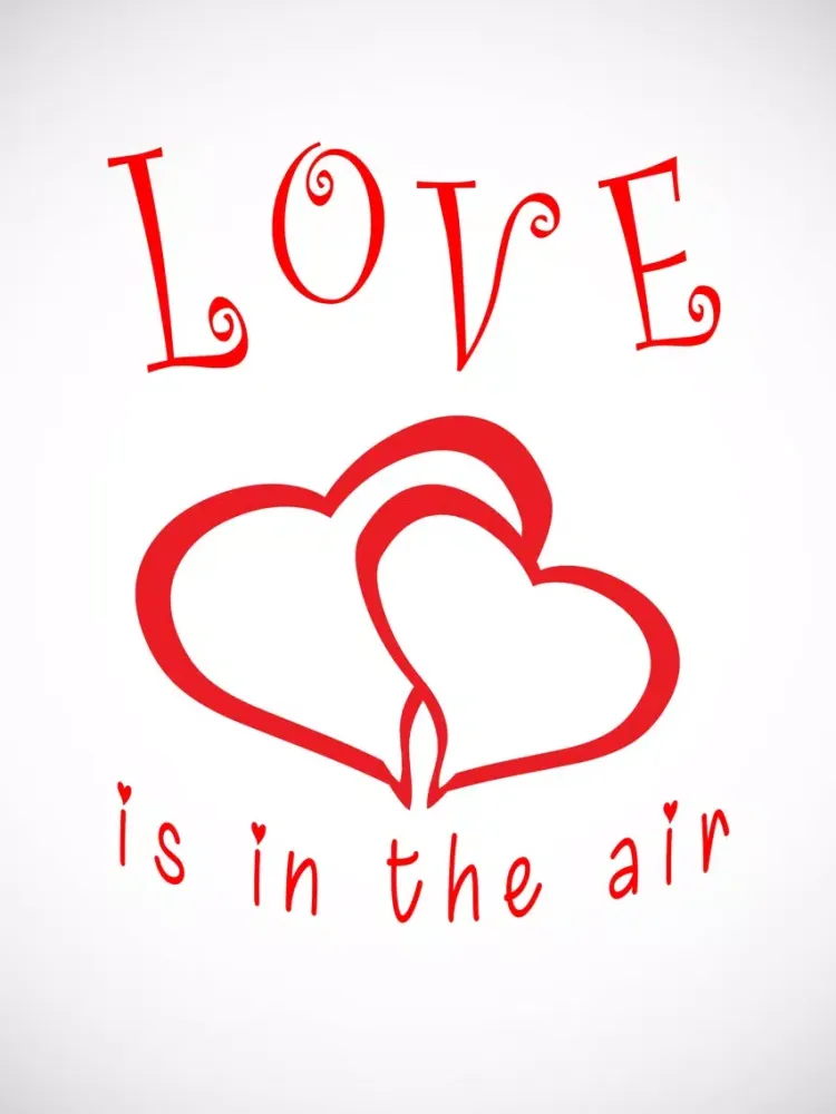 ภาพหน้าจอของ Valentine's Day Quote Stickers iPad 