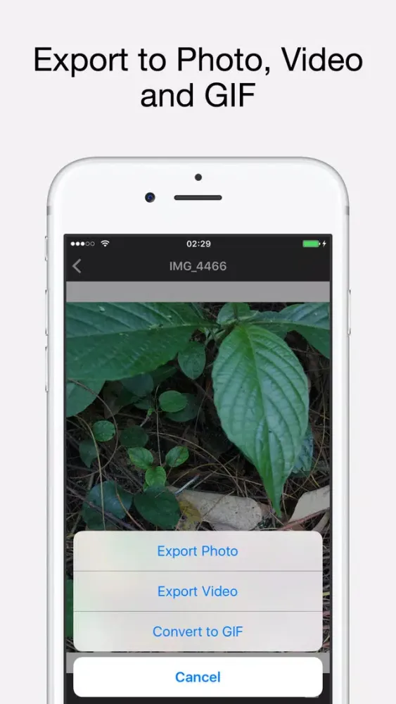 Ảnh chụp màn hình của Live Exporter - Live Photo to GIF, Video and Photo