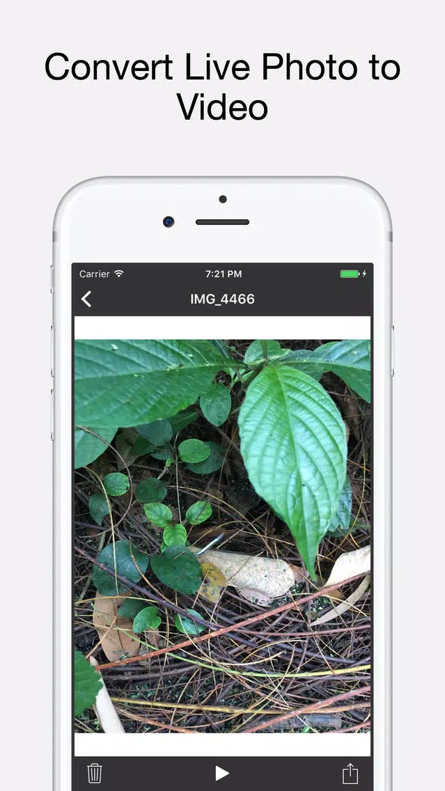 Live to Video: Live Photo for Instagram as Video স্ক্রিনশট
