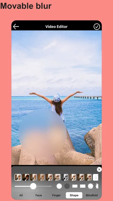 Zrzuty ekranu Blur Video & Mosaic