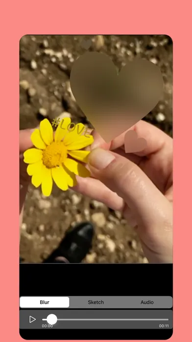 Zrzuty ekranu Blur Video & Mosaic