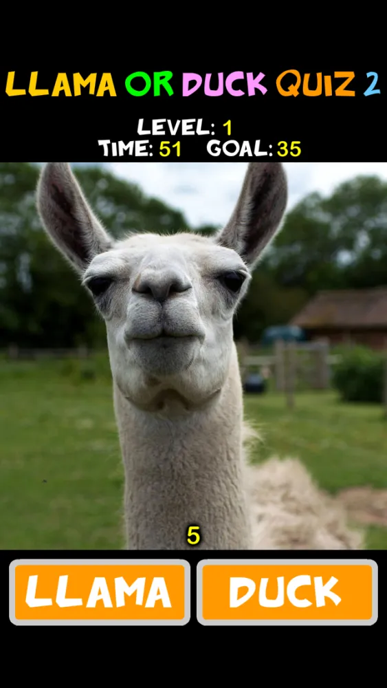 Llama or Duck Quiz 2 Screenshots
