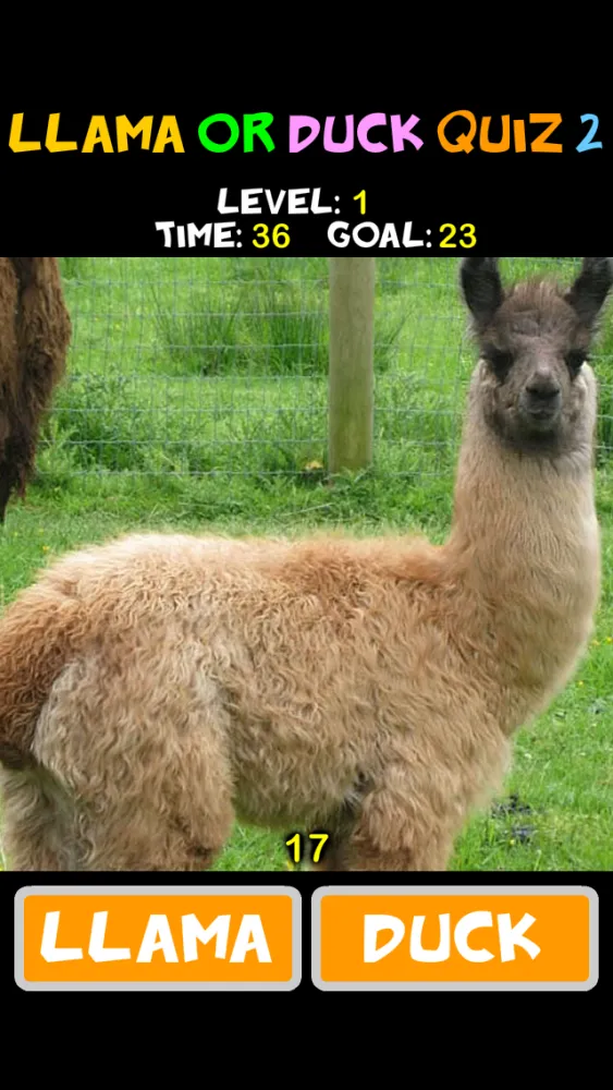 Llama or Duck Quiz 2 Screenshots