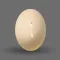 TAMAGO - Pocket Virtual Egg Pet