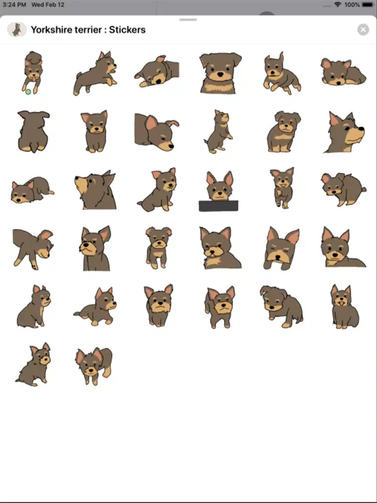 Yorkshire terrier : Stickers iPad  Screenshots