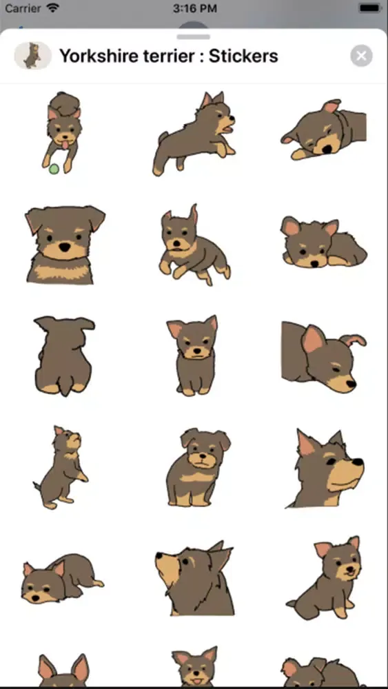 Yorkshire terrier : Stickers Screenshots
