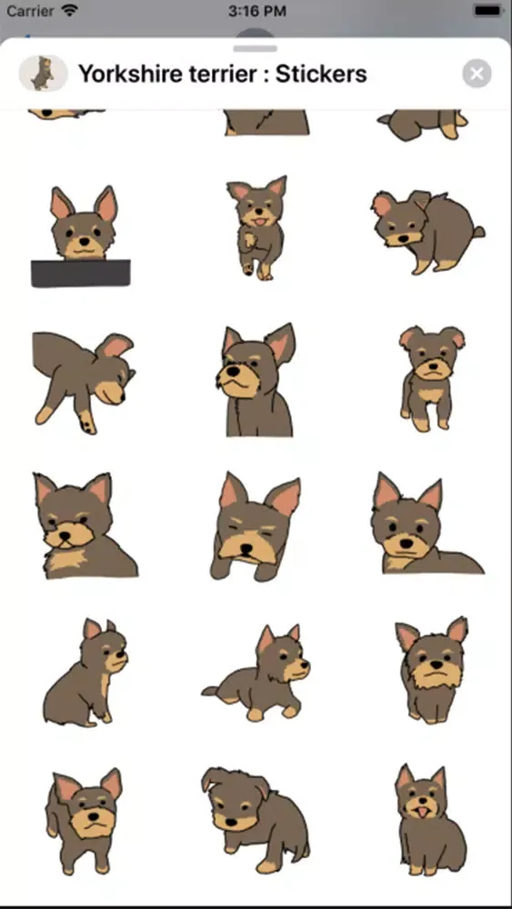 Yorkshire terrier : Stickers Screenshots