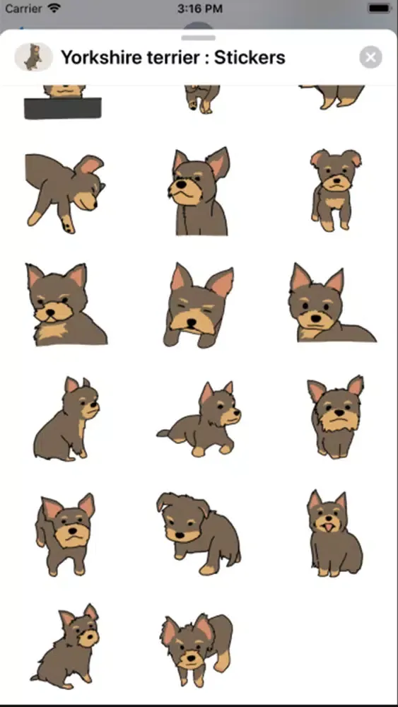 Yorkshire terrier : Stickers Screenshots
