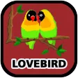 Kicau Lovebird Mp3 Offline